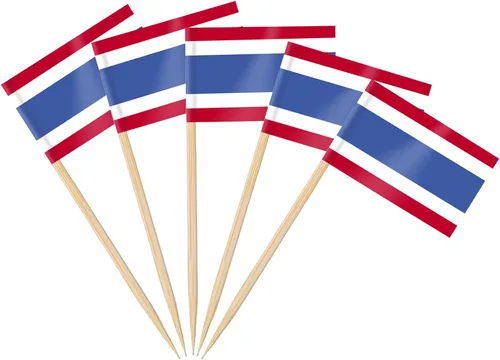 Vista 21 de AhfuLife Palillo de dientes con bandera de Argentina, 100 piezas de palillos de cóctel de Argentina, adornos para cupcakes argentinos