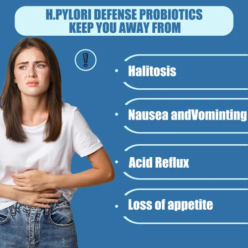 Vista 4 de H.Pylori Support Probiotic 100 mil millones de UFC - Lactobacillus Reuteri, goma mastica, berberina, carnosina de zinc, té verde, comodidad
