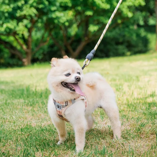 Vista 8 de BEAUTYZOO Juego de arnés y correa para perro pequeño, sin estrangulamiento, sin tirones, de malla suave reflectante para cachorros y gatos