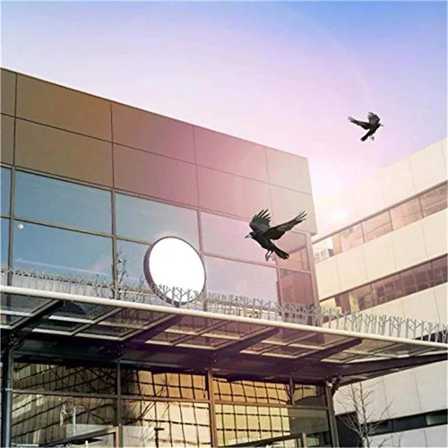 Vista 9 de Aspectek Kit de púas de pájaros de policarbonato de plástico con pegamento adhesivo, repelentes de palomas cubre 10 pies