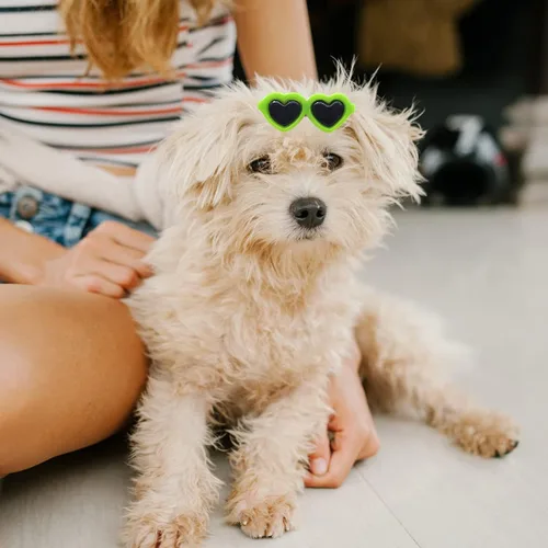 Vista 4 de Pinzas para el pelo de cachorros, 20 piezas de lindos lazos para perros, lentes de sol de corazón, accesorios para el cabello de San Patricio, día