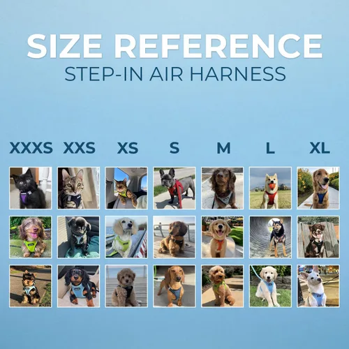 Vista 221 de Best Pet Supplies - Arnés de malla para todo tipo de clima, reflectante, antitirones, para perro y gato pequeño y mediano, con cierre de velcro