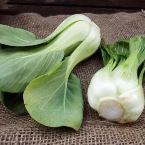 Vista 4 de ZEshops Semillas de col china para plantar: 1000 semillas de verduras de hoja de crecimiento rápido para jardín o contenedores al aire libre
