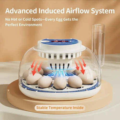 Vista 2 de Incubadora de 12 huevos con pantalla de temperatura y humedad, giro automático de huevos, vela de huevos, recarga automática de agua, para huevos