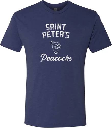 Vista 35 de UGP Campus Apparel AS11 - Camiseta Triblend Retro Script