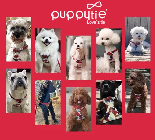 Vista 17 de Arnés sin tirones para perro, con correa multifunción, pechera suave y ajustable para mascota, no ahorca, chaleco a prueba de escape para perros