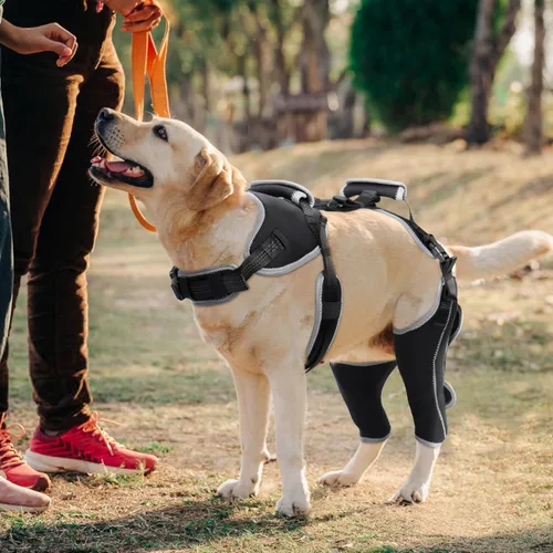 Vista 2 de Rodillera de ACL para perro para pierna desgarrada del ACL, soporte de ACL para piernas traseras de perros, soporte de pierna trasera de perro