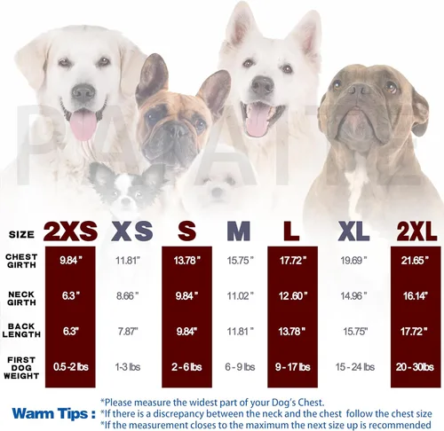 Vista 3 de Camisas de perro acogedoras y funcionales para cachorros pequeños: atuendo gris elástico con diseño fácil de poner, ideal para chihuahuas y Yorkies