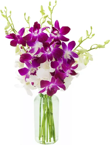 Vista 12 de KaBloom - Ramo de orquídeas exóticas de zafiro de 10 orquídeas azules con jarrón - Flores frescas para cumpleaños, San Valentín y Día de la Madre