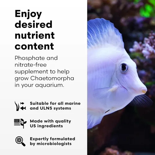 Vista 3 de Brightwell Aquatics - ChaetoGro - Suplemento nutritivo de algas para el crecimiento de Chaetomorpha en todas las peceras marinas - Tratamientos