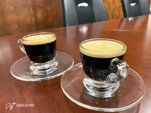 Vista 4 de Aquilaland Espresso premium, tostado oscuro, 100% arábica, bolsa de 8.8 onzas (café de grano entero)