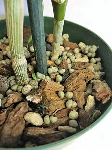 Vista 3 de Tierra para macetas con perlita, turba, musgo, coco, carbón y corteza de orquídea para Cattleya Dendrobium Oncidium Mezcla para macetas de corteza