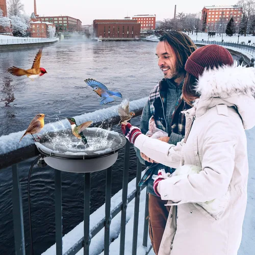 Vista 7 de Baños de pájaros calentados de 75W para exteriores para invierno