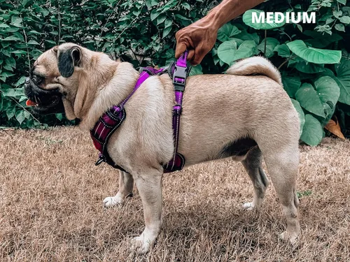 Vista 7 de Tuff Pupper Arnés para perro sin tirones, chaleco resistente para mascotas, clips para correa delantera y trasera, mango fuerte de seguridad, Púrpura