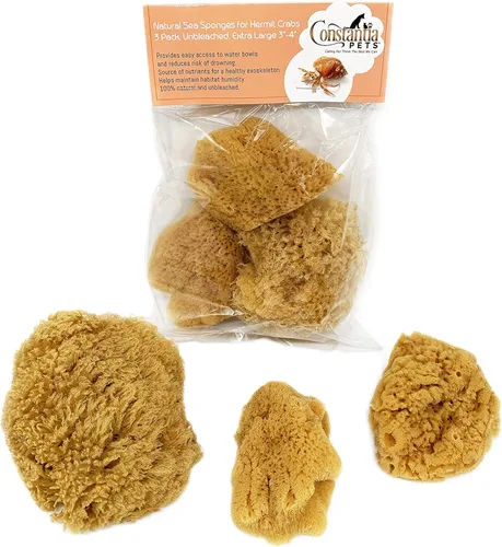Esponjas de mar naturales de cangrejo ermitaño, extra grandes, sin blanquear, 3 a 4 pulgadas, paquete de 3, proporciona nutrientes, beber más seguro
