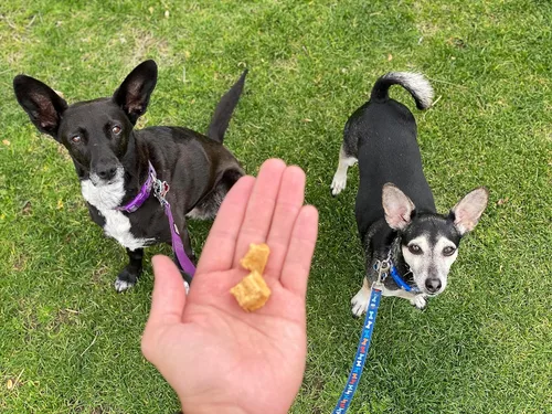 Vista 5 de Redbarn Pet Products Golosinas de entrenamiento de carne seca al aire totalmente natural para cachorros y perros, recompensas de proteína única sin