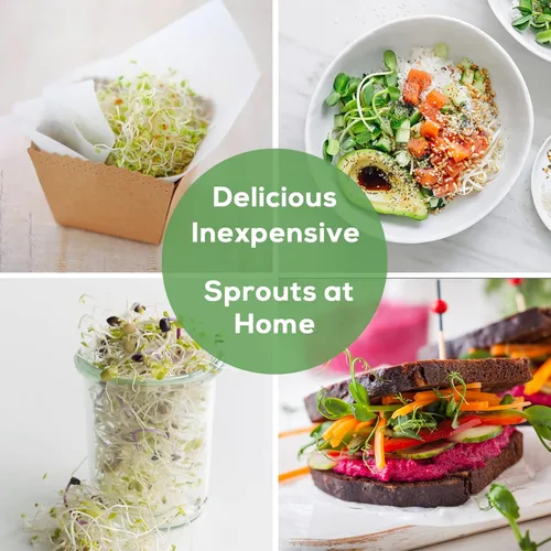 Vista 5 de Kit de tarro de germinación de semillas con tarros Mason de boca ancha, tapas de brotes de pantalla de acero inoxidable de alta calidad, mangas