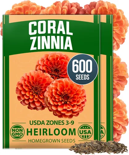 Vista 15 de Bóveda de 10 semillas de hierbas culinarias - Semillas criollas y sin transgénicos – Más de 3000 semillas para plantar en jardín de hierbas exterior
