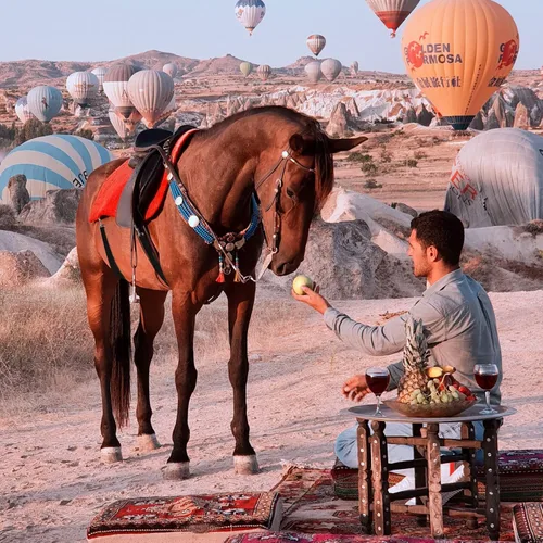 Vista 7 de Correas de manta de caballo de alta calidad, 2 piezas ajustables de 27.55 a 55 pulgadas de longitud, correa elástica de repuesto para el vientre