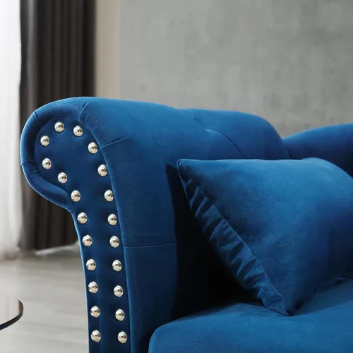 Vista 31 de Holaki Tumbona de almacenamiento de terciopelo, banco de almacenamiento para el extremo de la cama con almohada, sillón copetudo con botones