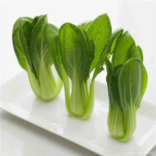 Vista 5 de ZEshops Semillas de col china para plantar: 1000 semillas de verduras de hoja de crecimiento rápido para jardín o contenedores al aire libre