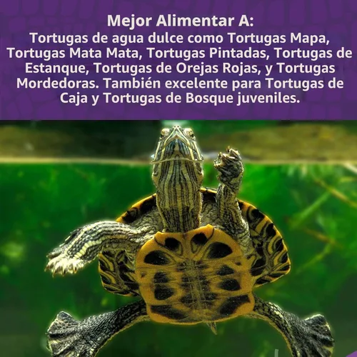 Vista 3 de Mazuri Comida Nutricionalmente Completa para Tortugas Acuáticas Fórmula de Agua Dulce - Bolsa de 12 Onzas (12 oz)