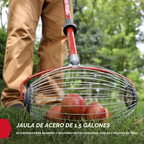 Vista 5 de GARDEN WEASEL - Rodillo recolector de frutos secos grande para nueces, pelotas de tenis, manzanas Steel cage collector tool with ergonomic handle.