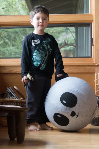 Vista 4 de Vivora Niko - Silla ergonómica para niños con bola de ejercicio esférica antiexplosión inflable de 18 pulgadas, oso panda
