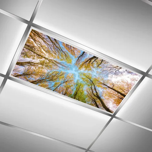 Vista 16 de Inserto de Cubierta de Luz de Techo Suspendido 4' x 2' pies (Naturaleza Bosque Hojas de Bambú Sol Verde) - Cubierta de Luz Fluorescente Reduce
