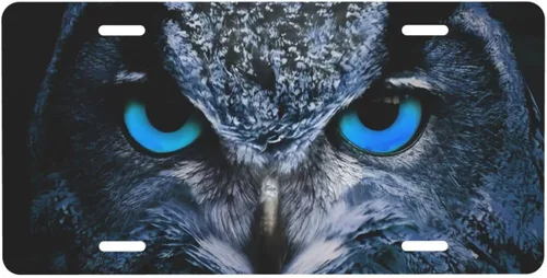 Vista 22 de Placa de matrícula retro Daisy, placa de matrícula delantera decorativa para el auto, placas de matrícula novedosas de aluminio, etiqueta