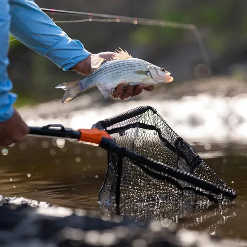 Vista 6 de KastKing Pontus - Red de pesca para pescar, plegable y ligera, red de pesca de agua dulce con escala de longitud integrada, mango de aluminio, malla