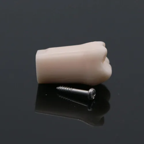 Vista 7 de Juego de 6 dientes extraíbles de repuesto para práctica de llenado de dientes de entrenamiento M8025-6 modelo de estudio M8025-6 compatible