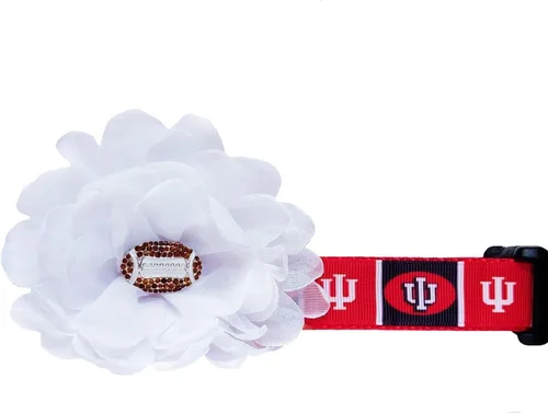 Indiana Hoosier Dog Collar