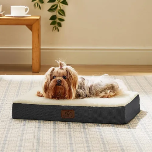 Vista 8 de Bedsure Camas para Perros Pequeños – Camas Planas XS Cómodas para Cachorros con Funda Extraíble Lavable, Colchoneta de Espuma Ortopédica Tipo Cartón