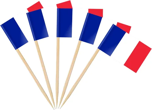 Vista 20 de AhfuLife Palillo de dientes con bandera de Argentina, 100 piezas de palillos de cóctel de Argentina, adornos para cupcakes argentinos