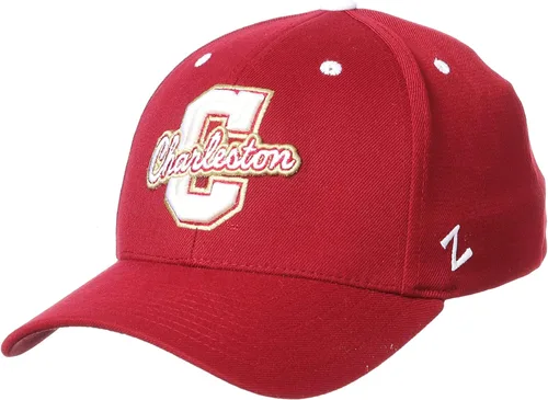Vista 20 de ZHATS - Sombrero ajustado elástico para hombre de la NCAA, color del