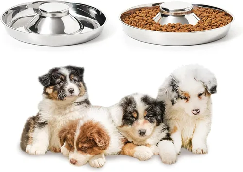 Juego de 2 cuencos de acero inoxidable para cachorros, comida para perros y agua, destete para perros pequeños, medianos y grandes, para mascotas, S