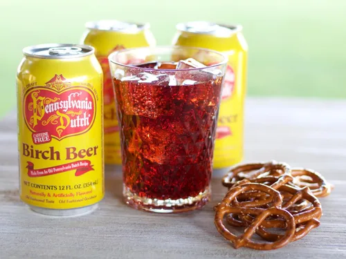 Vista 4 de AmishTastes PA - Cerveza de abedul holandés, protegida con espuma de alta densidad, 12 onzas (caja de 24)