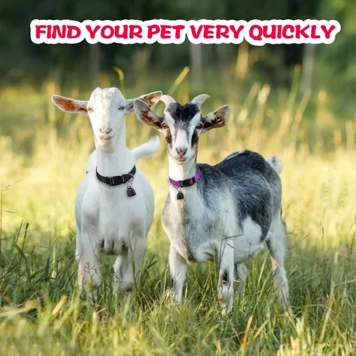 Vista 6 de Juego de 4 collares de cabra con campana, collar de nailon ajustable y campanas de cobre para pastoreo, animales de granja, antipérdida