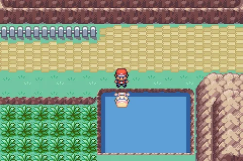 Vista 8 de Pokemon FireRed Version (Renewed)