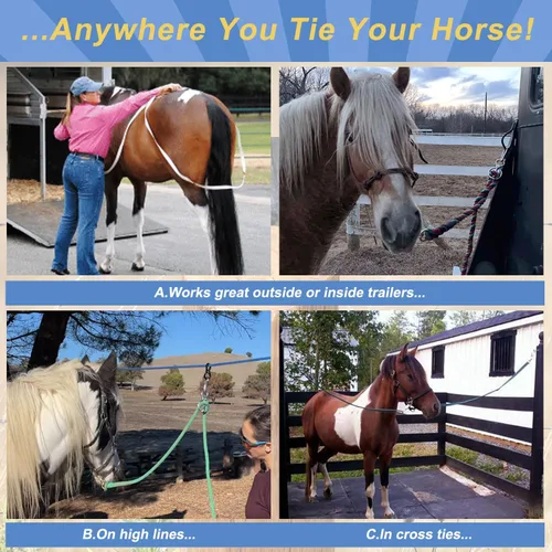 Vista 5 de Dayimado Anillo de amarre para caballos, anillo de amarre de acero inoxidable para caballos, suministros resistentes y seguros