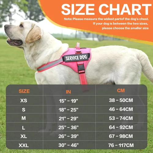 Vista 2 de MUMUPET Arnés para perro de servicio, chaleco reflectante sin tirones, arnés transpirable ajustable para mascotas con asa para caminar al aire