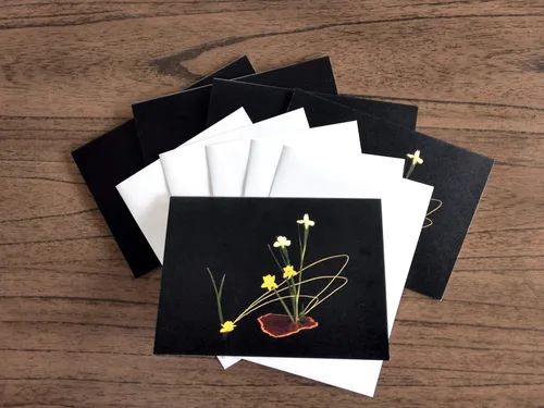 Vista 5 de Blank Note Cards Set, Original Art Blank Greeting Cards, Eco Friendly Notecards with Ikebana Flower Photo, Eco Friendly Recycled Paper Stationery