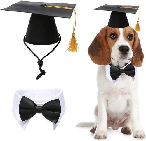 Gorras de graduación para mascotas con corbatín y corbatín para perro, accesorio para disfraz de perros y gatos