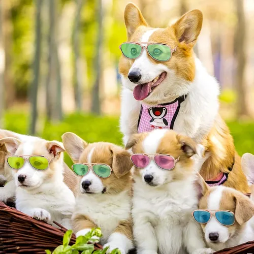 Vista 2 de Gafas de sol para gatos – Gafas de sol con protección UV para mascotas, muñecos, gafas de sol para perros pequeños, accesorios para fotos de cosplay