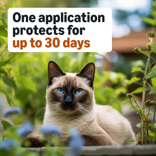 Vista 4 de Amazon Basics Tratamiento tópico preventivo contra pulgas para gatos medianos (5-9 libras), 6