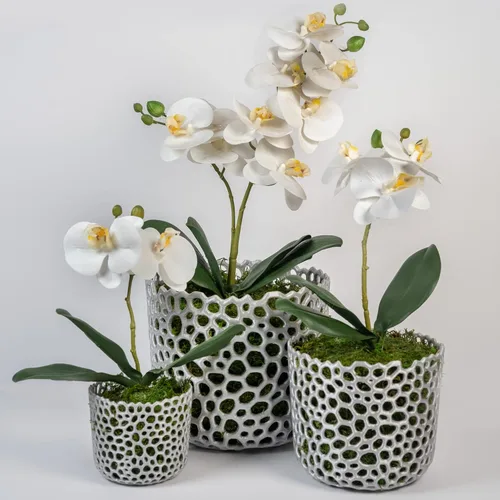Vista 4 de Maceta cilíndrica de malla para orquídeas, maceta de orquídea, maceta de orquídea, maceta de orquídeas, maceta para plantas de aire, maceta