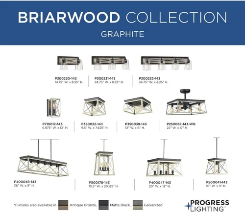 Vista 14 de Progress Lighting Briarwood Collection - Mini-colgante costero (grafito), color negro