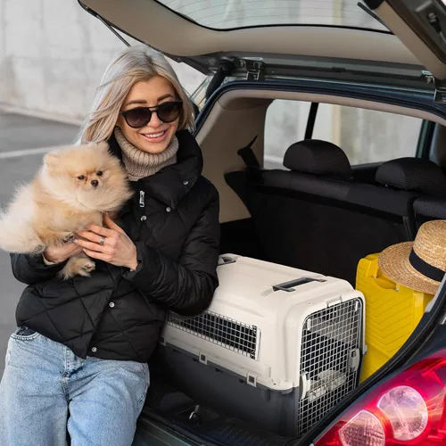 Vista 6 de Transportadores de plástico Elevon, jaula de plástico para perros, transportador de mascotas aprobado por aerolíneas para perros y gatos de viajes