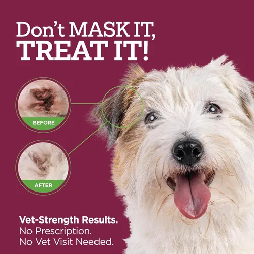 Vista 3 de Vetality Gotas óticas medicadas para tratamiento de infección de oído de perro, 2 onzas líquidas